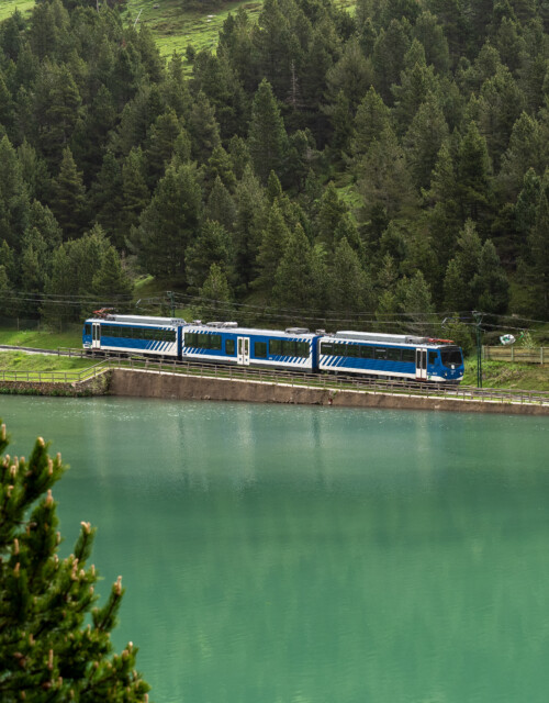 L’estiu dels Pirineus